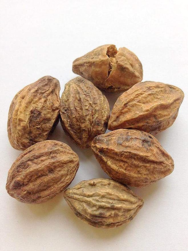 Extrato de Fruta Terminalia Chebula